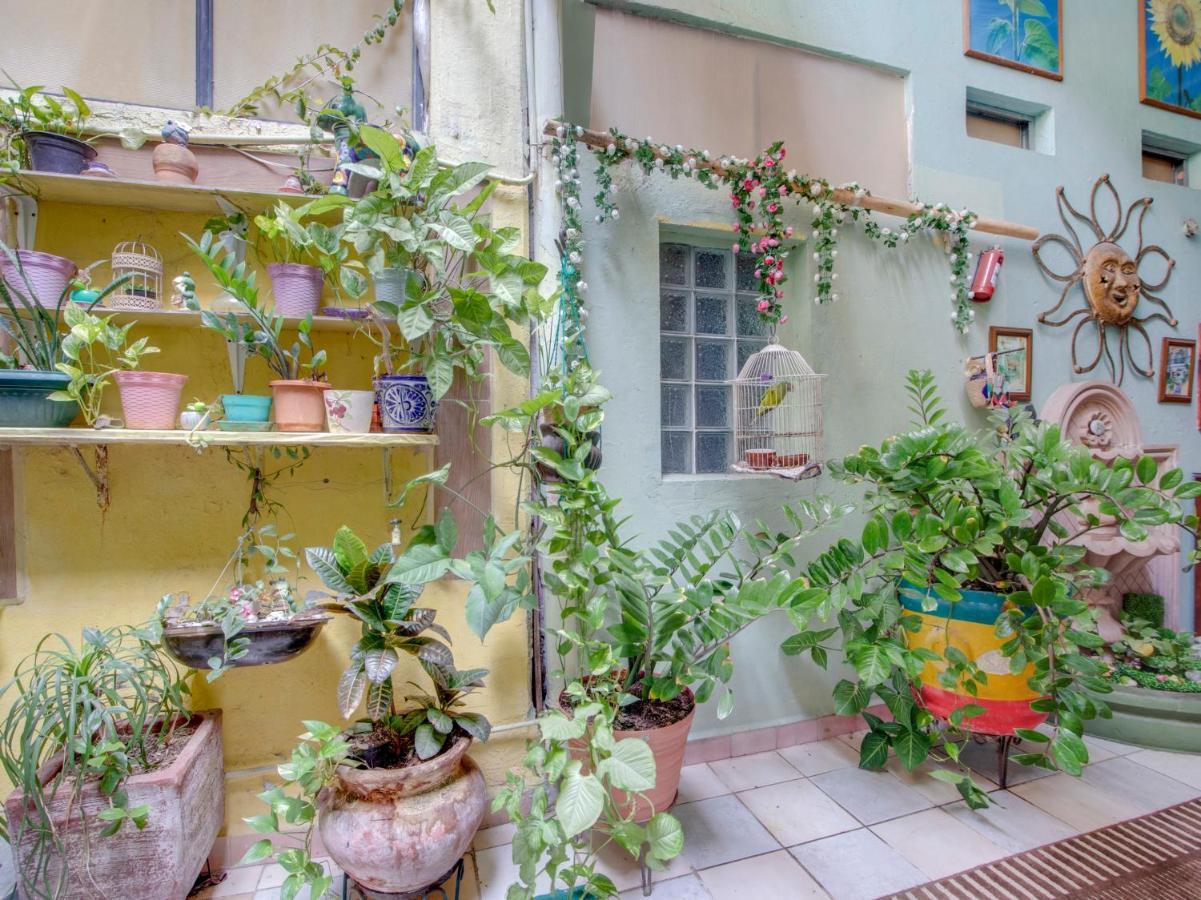 Oyo Hotel Casa Ada Zihuatanejo Dış mekan fotoğraf